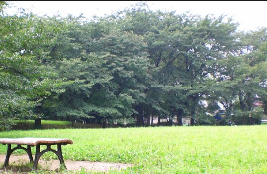 RAYHAUS善福寺川公園  周辺画像9