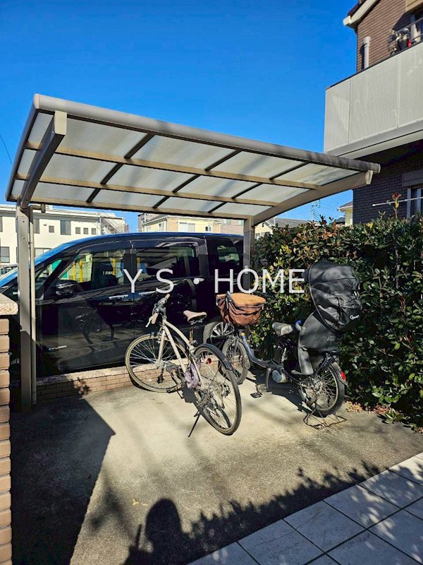 マトリカリア その他4