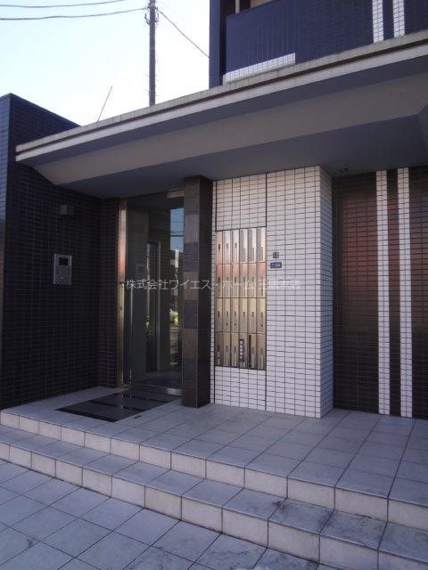 パインニードル　　 その他1