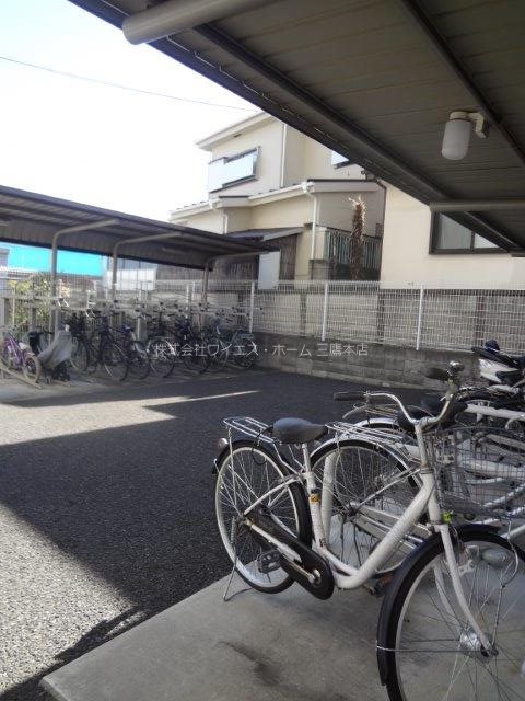 パインニードル　　 その他2