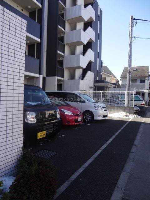 パインニードル　　 その他3