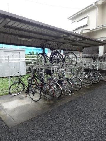 パインニードル　　 その他13