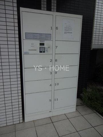 パインニードル　　 その他16