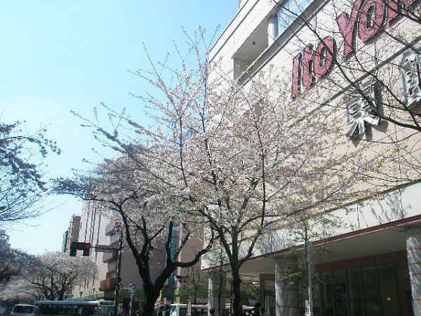 トラープランド蒼麗館 周辺画像5