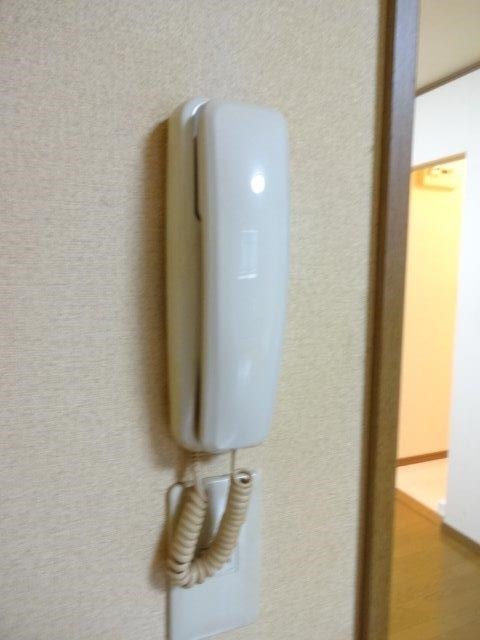 シルキーゼファー その他1