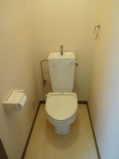 シルキーゼファー その他5