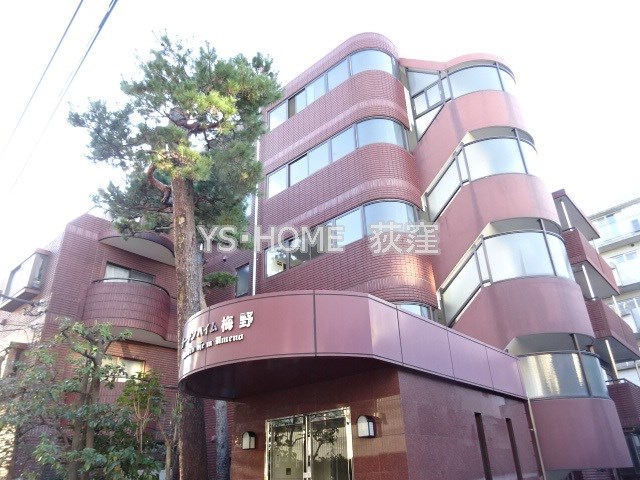 ガーデンハイム梅野 その他12