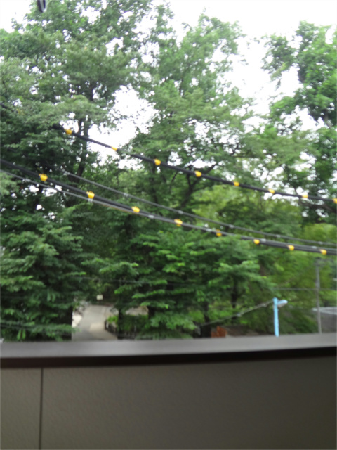 パークヒルズ善福寺　　 その他19