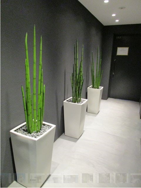 グラウンデュークス武蔵関 その他6