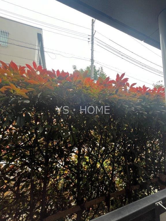 セレーノ武蔵野 その他18