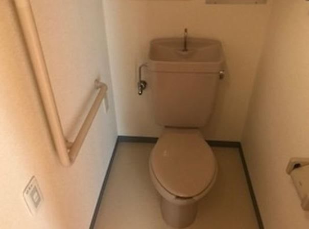 エコタワーバオバブ その他2