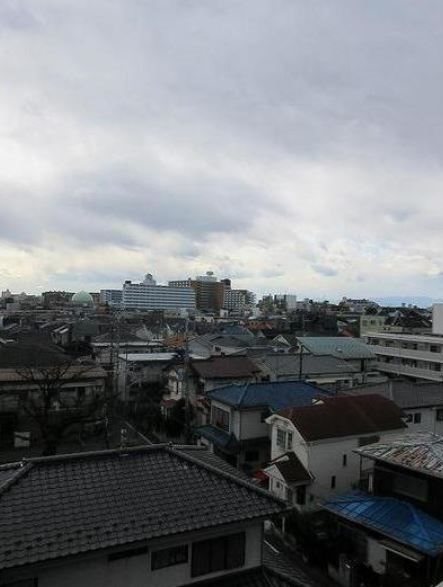 エコタワーバオバブ その他7