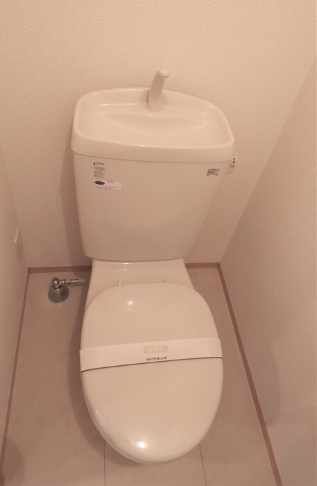 アンフラーゼ その他2