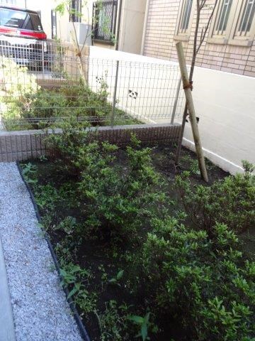 ソラーナ国分寺 その他15