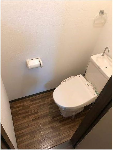 ハイツプピーラ その他2