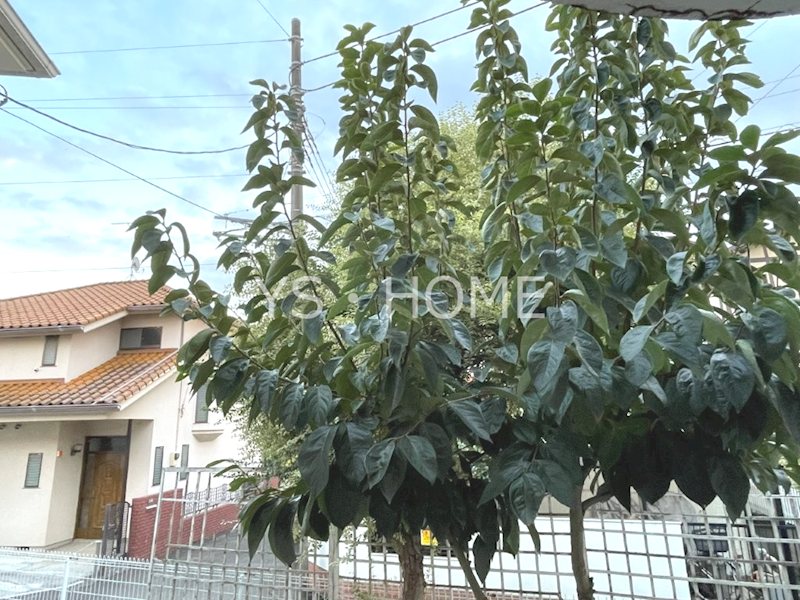 ハウスダイアリー その他4