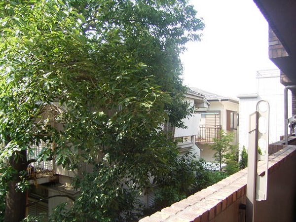 フェニックス吉祥寺アヴァンティーク ベランダ