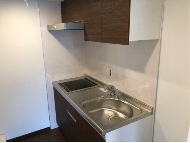 Regulus1 その他10