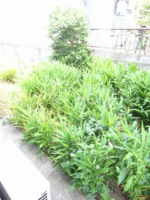 エース一里塚 ベランダ