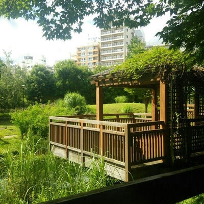 アステル七番館 周辺画像4