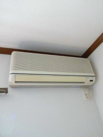 Ｌｉｔｔｌｅ　Ｗｉｎｇ その他6