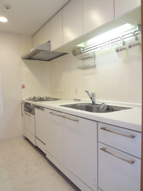 デライトシティ　ブレスコート キッチン