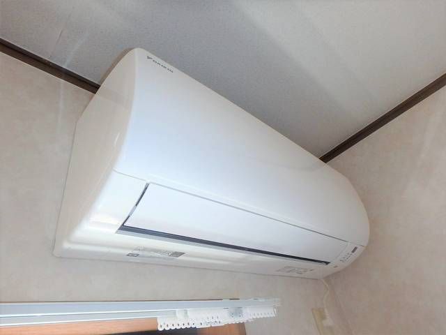 ペニーロイヤル その他2