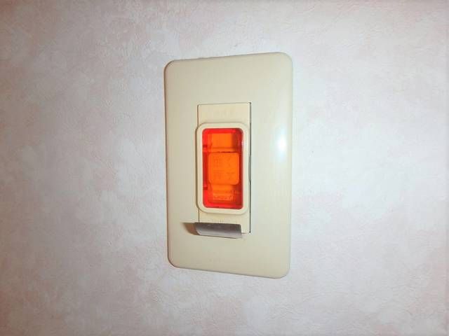 ペニーロイヤル その他外観6