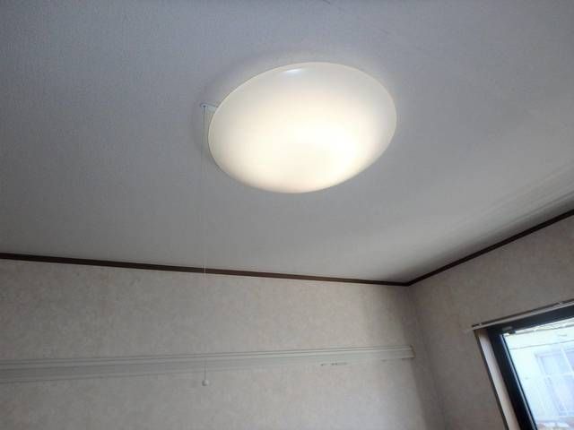 ペニーロイヤル その他10