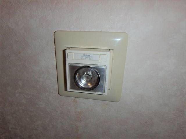 ペニーロイヤル その他11