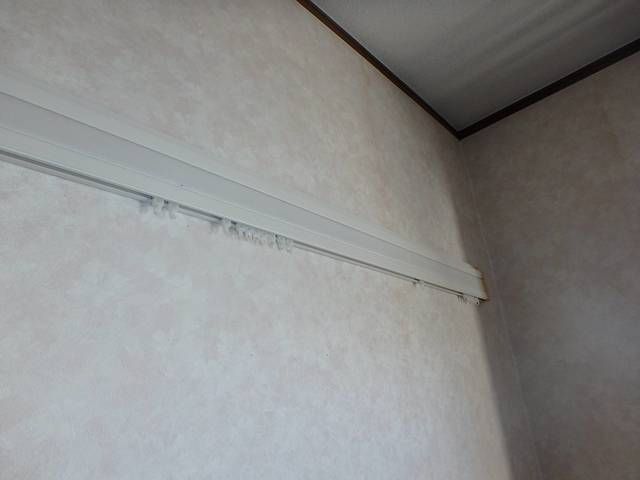 ペニーロイヤル その他13