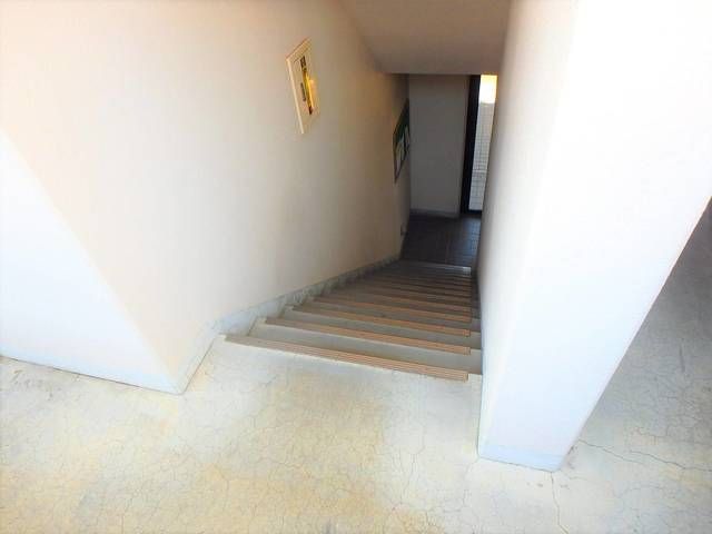 ペニーロイヤル その他20