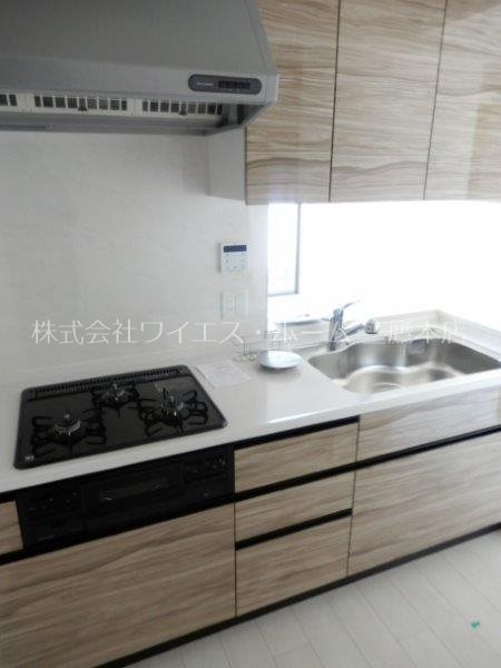 トラープランド翠命館 キッチン