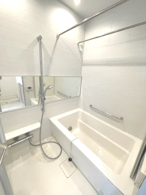 Brillia ist 中野セントラルパーク 風呂画像