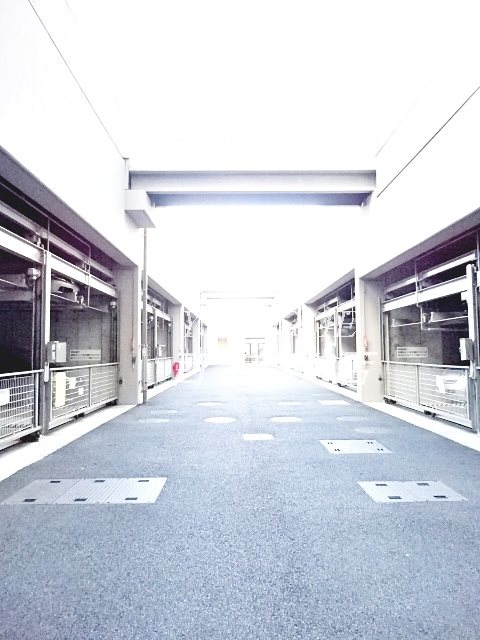 デライトシティブレスコート その他8