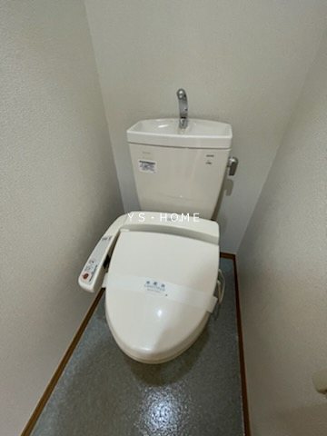 トロアラピン その他1