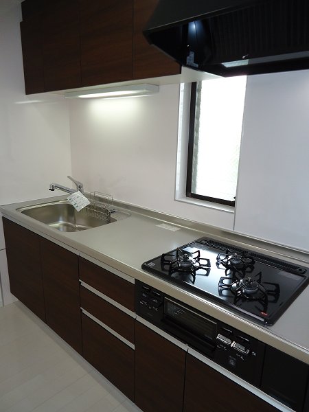 レジディア吉祥寺 その他9