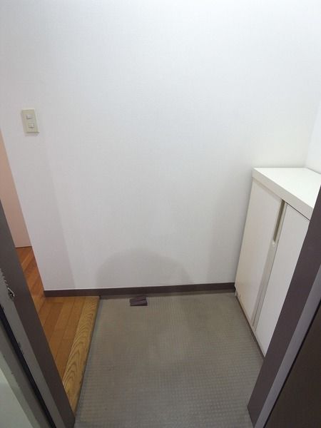 セルビスビル 玄関