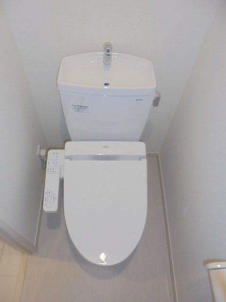 リブリ・ブランカ その他2