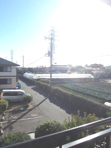 サイプレスタウンC棟 その他5