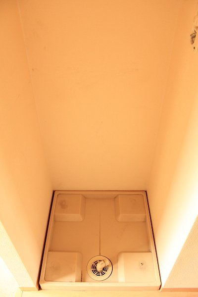 ソフィアローズ その他2