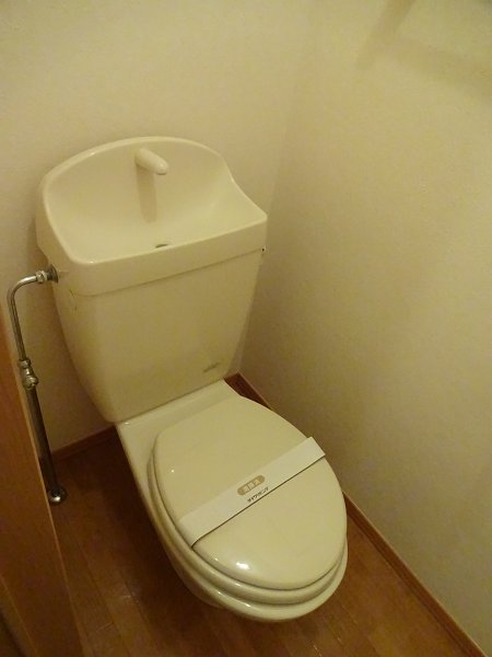 フォルトゥーナ その他2