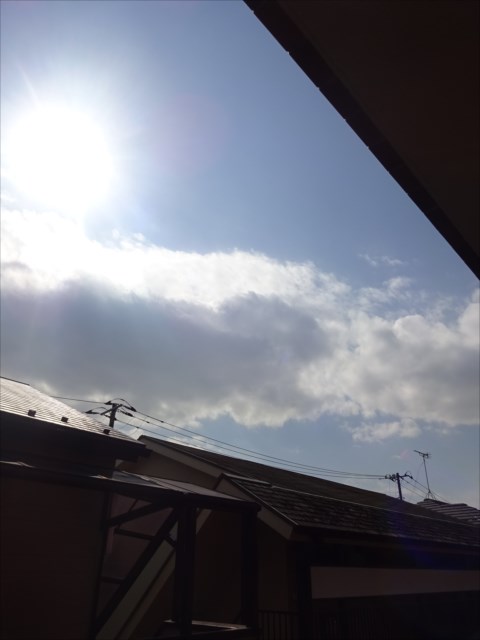 セントラルビレッジ その他41