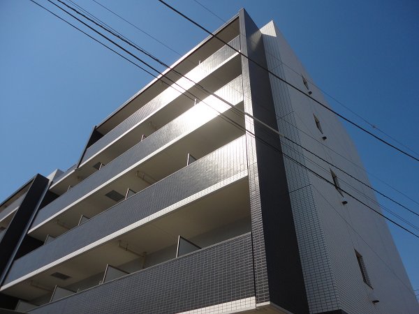 パインニードル　　 その他外観1