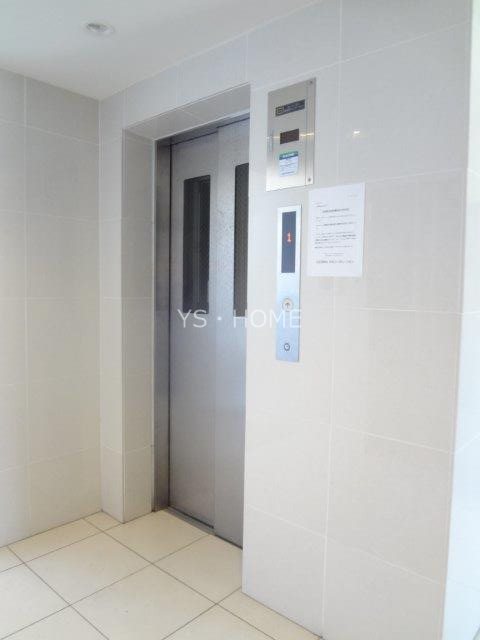 パインニードル　　 その他16