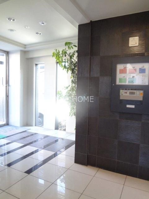 パインニードル　　 その他17