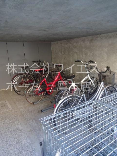 ブラヴィミタカ その他1