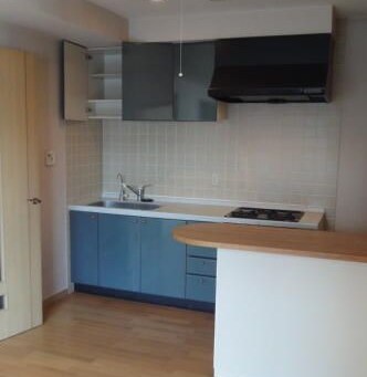 サンクタスデュオ キッチン