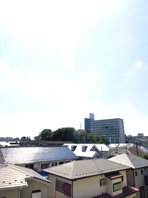 パインニードル その他5