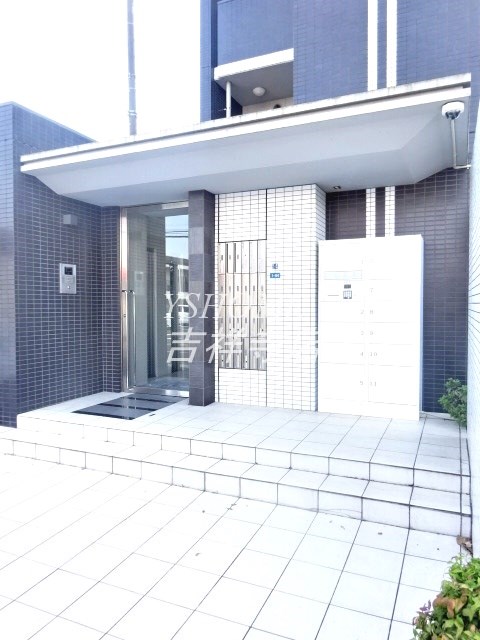 パインニードル その他9